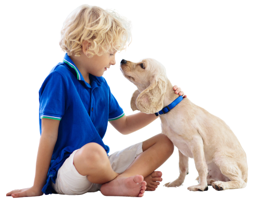 Healthy Child Playing With Dog